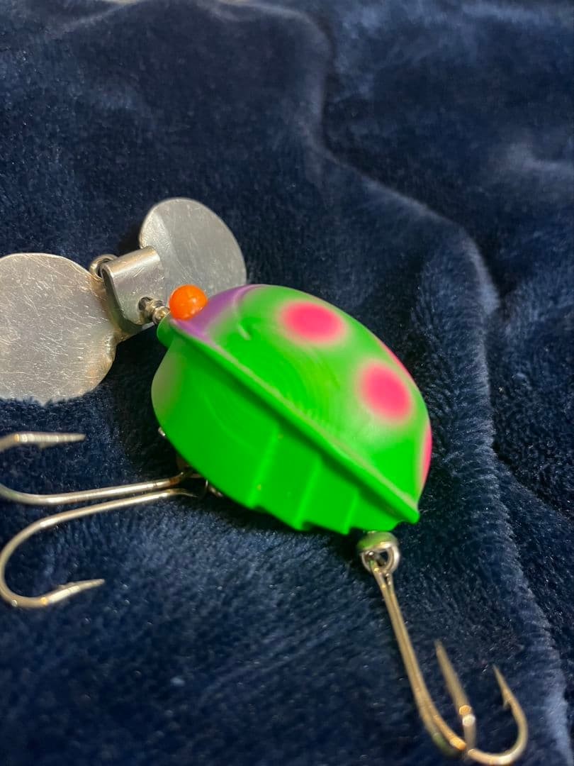 Frog s Ladybug - Image 5