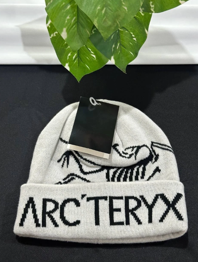 Arc’teryx Bird Head Toque Beanie White – Merino Wool Ski Winter Hat NWT 2025