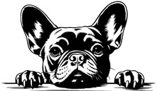 Lindo Bulldog Francés Frenchie Peeking Premium Personalizable Vinilo Calcomanía Impermeable
