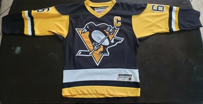 mario lemieux youth jersey