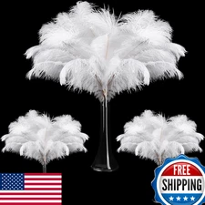 Maitys 90pc White Ostrich Feathers Bulk 10-16" for Centerpieces & Crafts