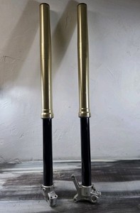 Kx250f Forks | eBay