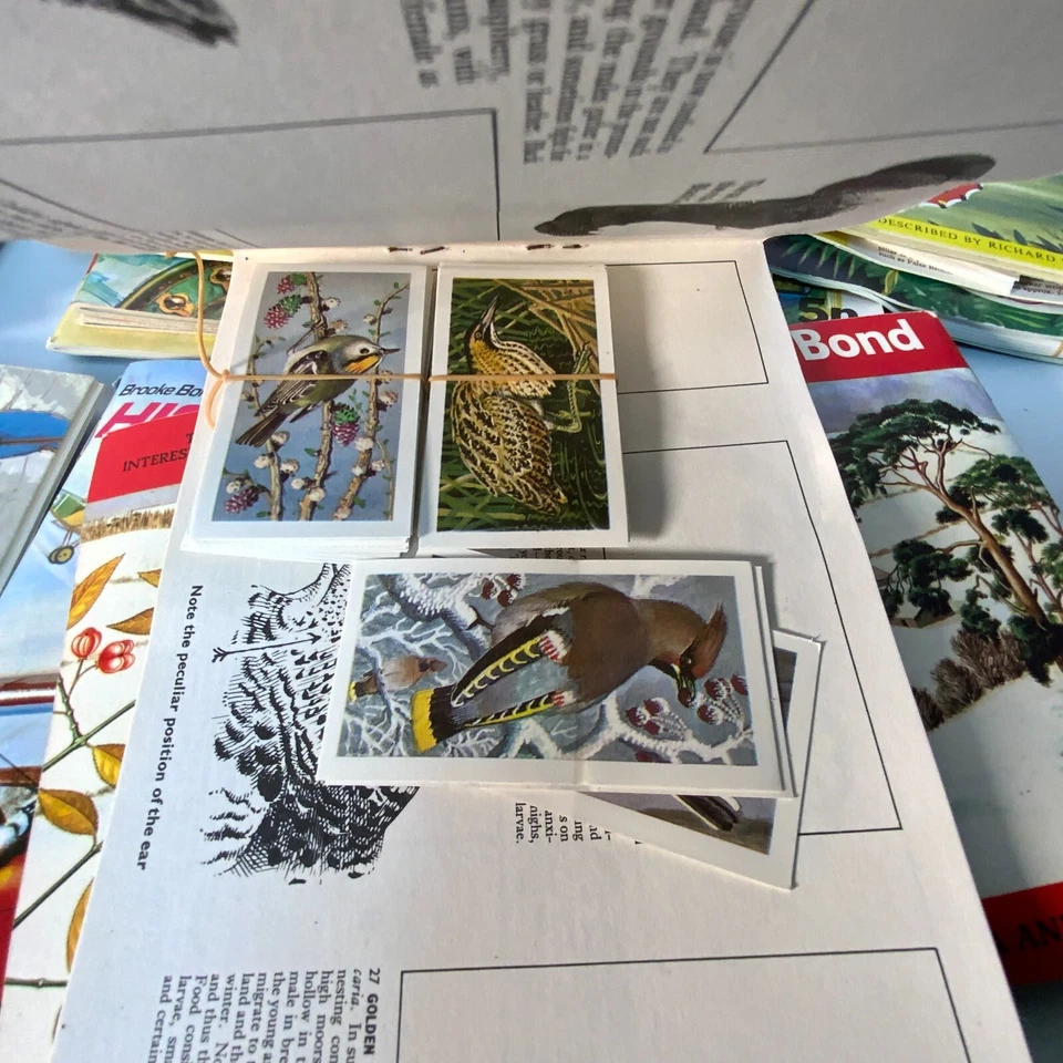 Brooke Bonds Joblot of Tea Cards Albums And Cards - Image 3 of 4