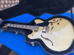 Washburn HB 35 | eBay