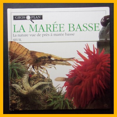 Ebbe Natur Nahaufnahme bei Ebbe Christiane Gunzi 1993