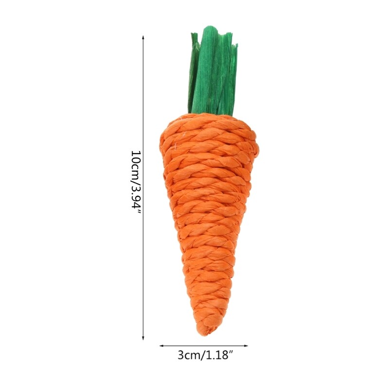Cute Carrot Rattan Chew Bite for Chinchillas Rabbit Small 3pc eBay