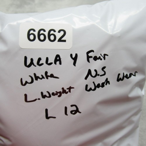 UCLA Hoodie Youth Large White Pullover Pocket Fleece Lightweight Sweatshirt Hike - Picture 9 of 9