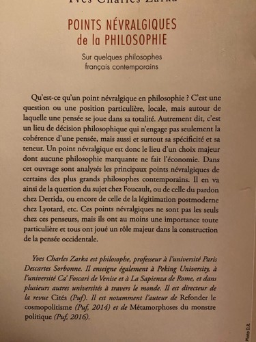 Points névralgiques de la philosophie par Yves Charles Zarka - Picture 2 of 2