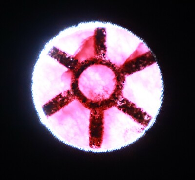 90-100 Carat Trapiche Ruby Natural Round Shape EGL Certified Burma Gemstone LVR
