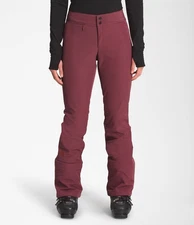 North Face Apex Ski Pants Women’s XS All Mountain $160 Retail NWT