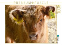 Calvendo Puzzle Calves - Little Heartbreakers In The Meadows | 1000 Pieces, Fini