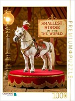 Calvendo Puzzle The Smallest Horse In The World | 1000 Pieces, Finished Size 25.