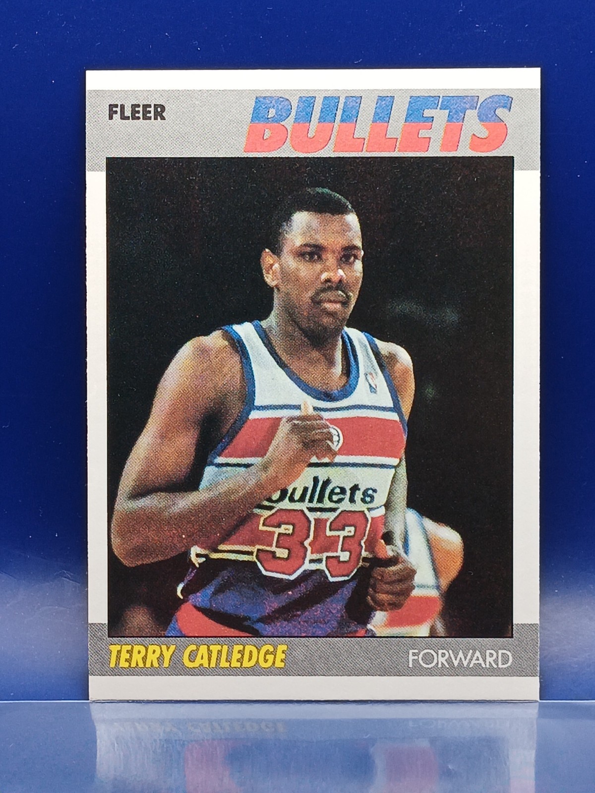 1987-88 Fleer - Terry Catledge #18 (RC)
