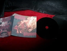 NEW! DEC. 2025 *CYSTIC HYGROMA / CRYPTOSPOIDIOSIS - Split VINYL-STYLE CDr GORE!!