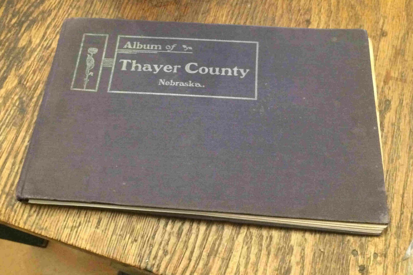 Album of THAYER COUNTY NEBRASKA 1903 Photo History Book RARE Free US