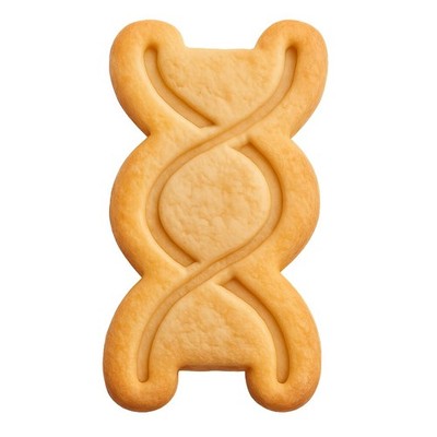 Extended DNA Sequence Cookie Cutter & Stamp, Fondant & Clay - 4x2.5