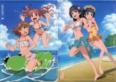 Clear File Premium A Certain Magical Index x A Certain Scientific Railgun
