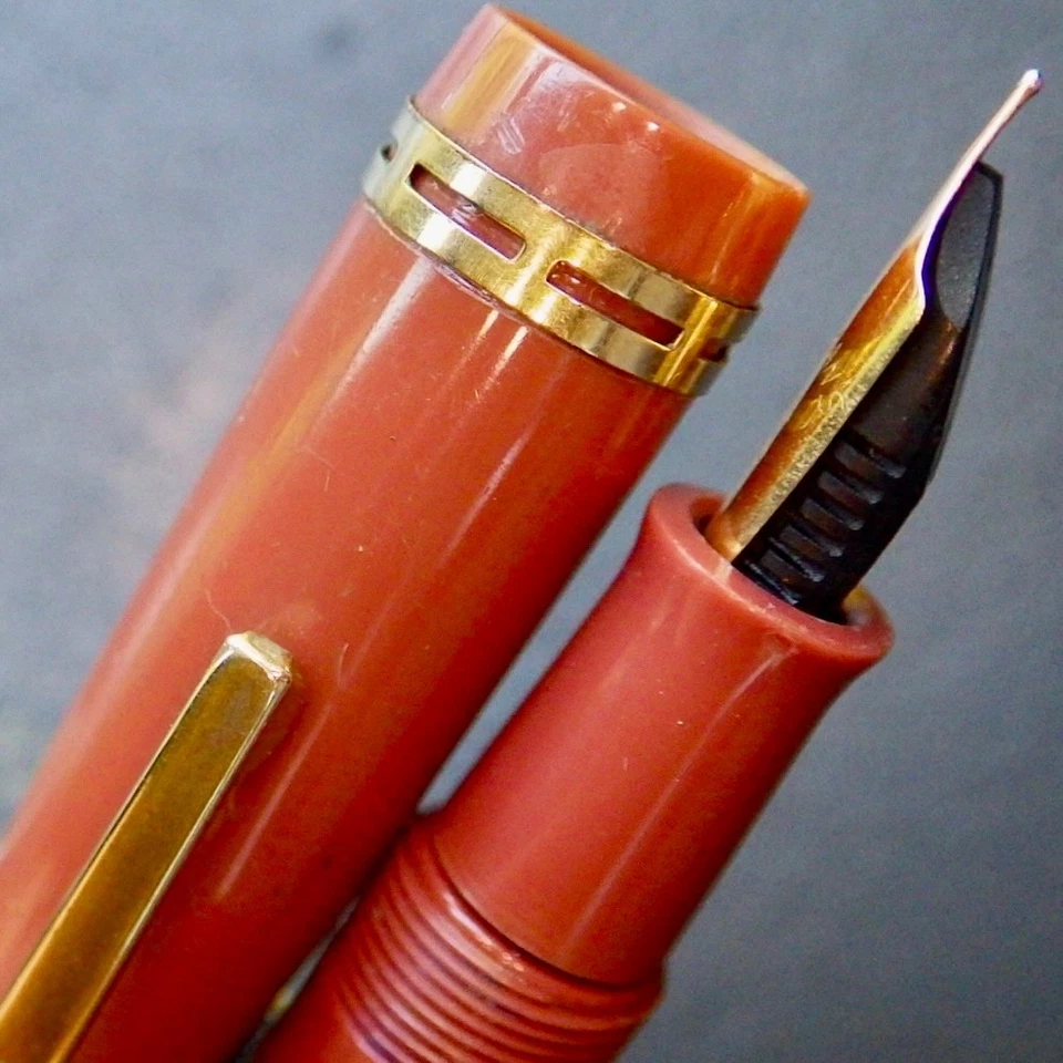 Обслуживаемая перьевая ручка G2U WATERMAN 703 TaupeGTEyedropperWATERMAN Gold Flex M новая в коробке - Изображение 2 из 4