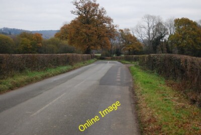 Photo 12x8 Foxhole Lane past Walker's Wood Field Green This lane leads tow c2010