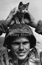 WW2 Picture Photo US soldier with a kitten on his helmet 6256