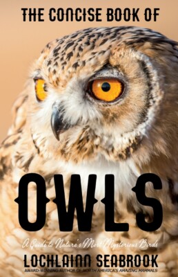 The Concise Book of Owls Paperback (Includes 20 color photographs) New w/flaw