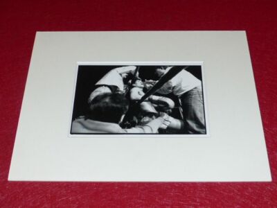 アート・デザイン・音楽 The Boxings Photographs of James a Fox アート・デザイン・音楽 The Boxings Photographs of James a