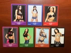 WWE Divas AJ Lee Wrestling Sports Cards