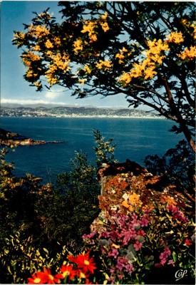 Café de France, COTE D'AZUR, Carrefour Mondial du Tour Postcard