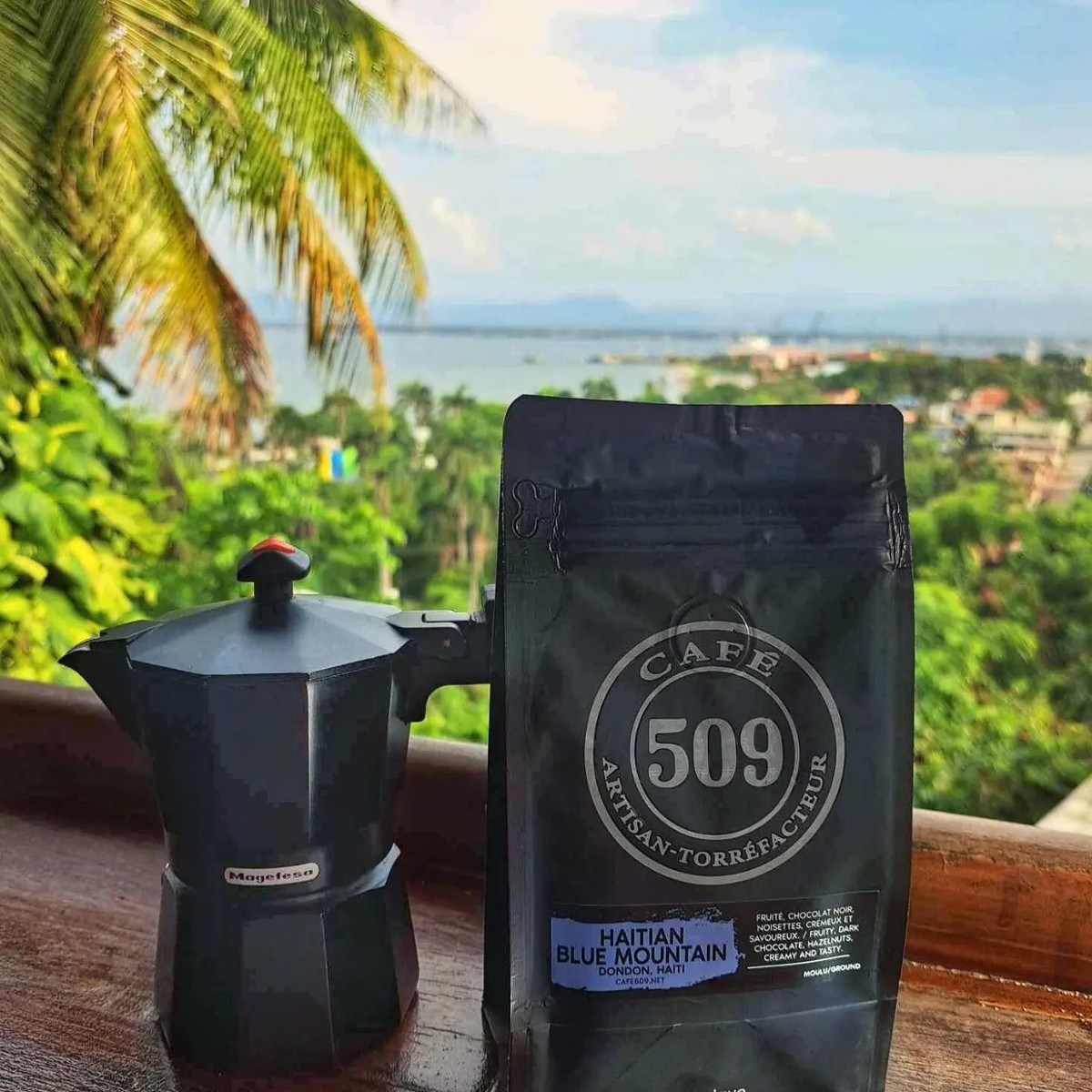 Cafe 509 Haitian Blue Mountain Coffee Whole Bean Organic Medium