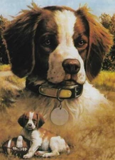 English Springer Spaniel Note Card With Decorated Envelope