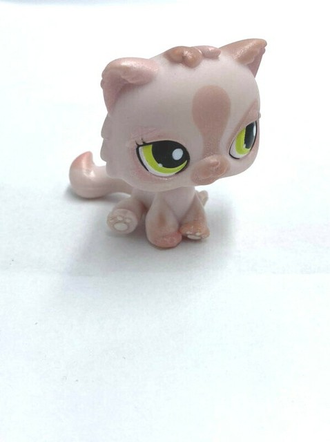 lps pink persian cat