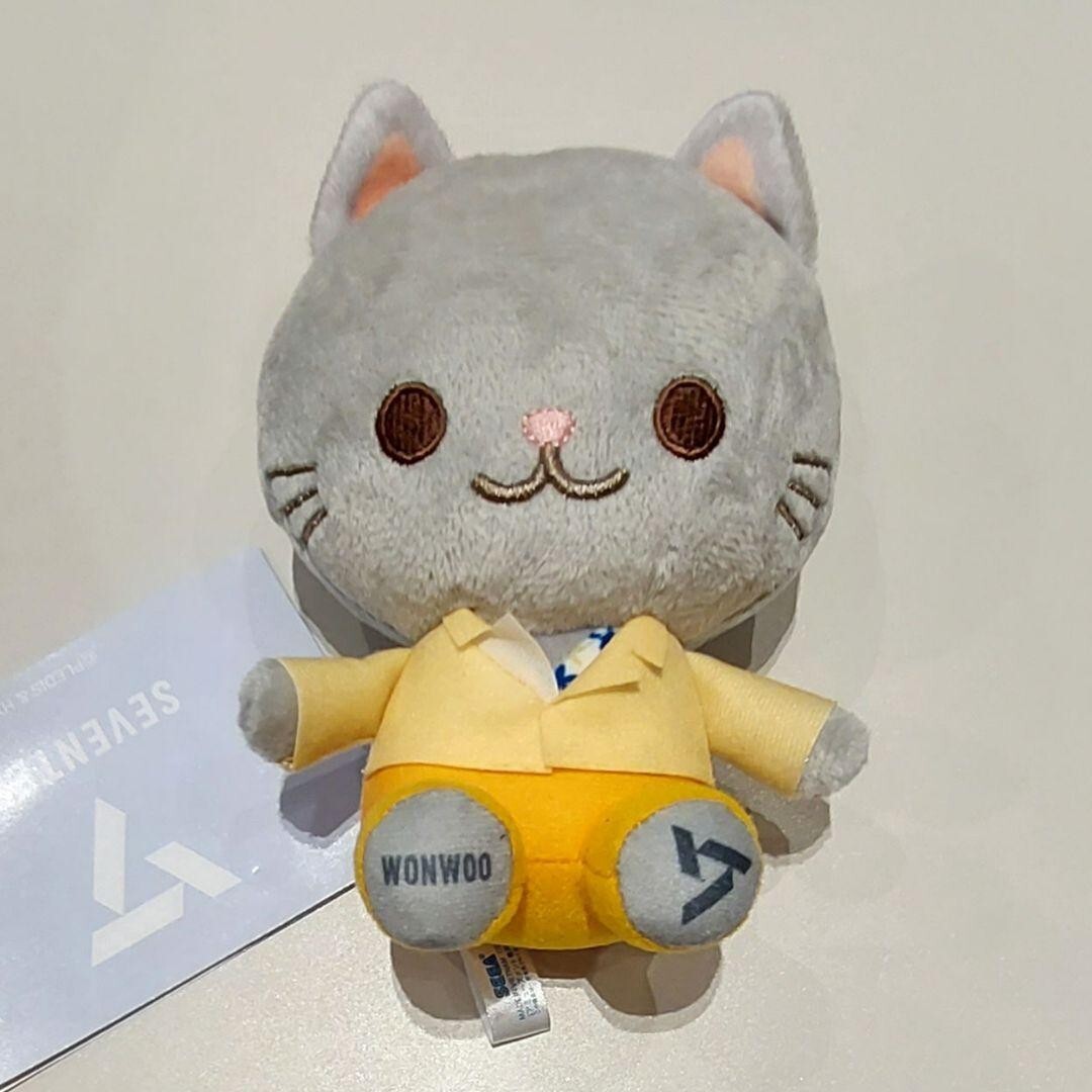 SEVENTEEN WONWOO ANIMAL COORDY Mini Plush Doll Stuffed toy