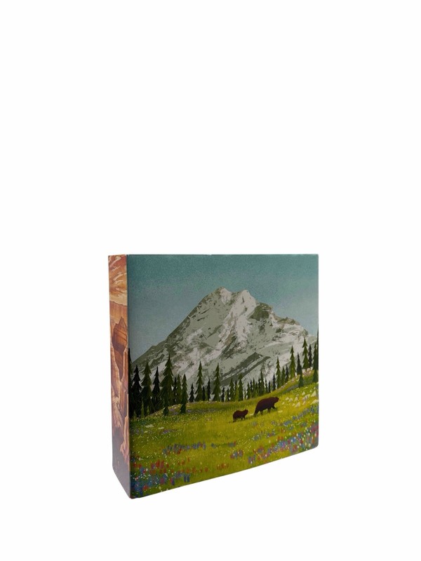 Parks Kickstarter Editon + Wildlife + Nightful Expansion Excellent Condition