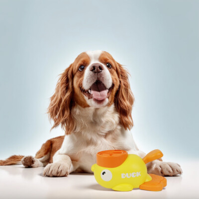 Generisch Entenform Futterspender - Interaktives Hundespielzeug, Slow Feeder, Blau - Für Hunde & Katzen