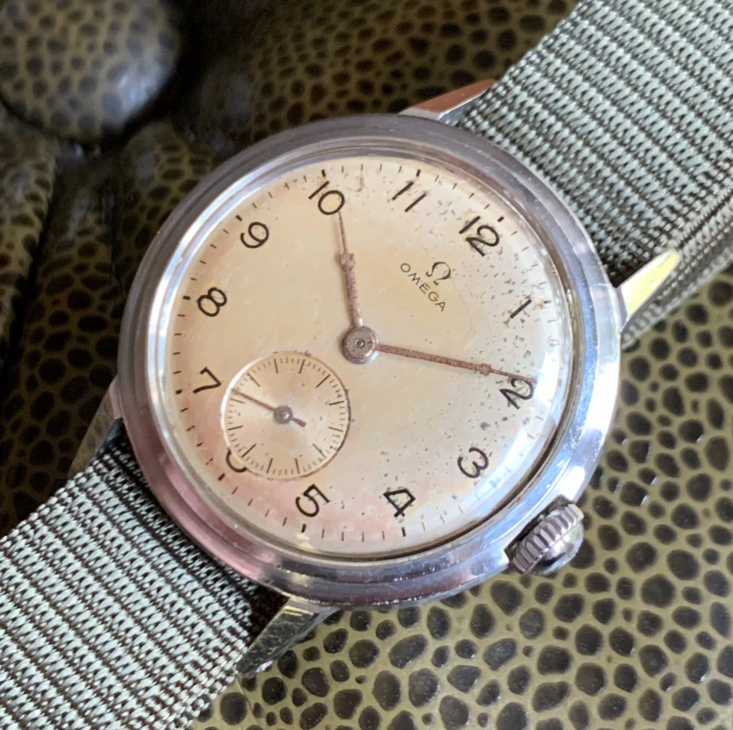 Omega — 1944 Omega Ref. 2341 Arabic Numerals Stainless Steel Screw Back Wristwatch