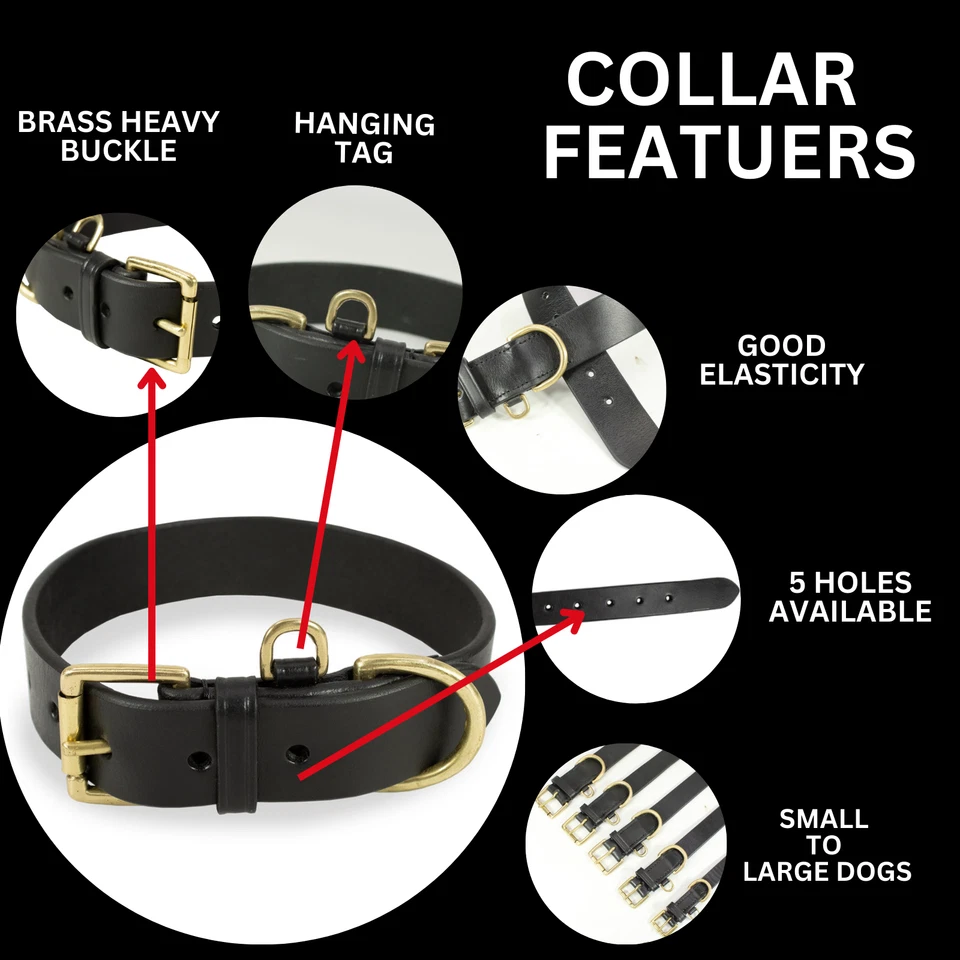 Collar de perro de cuero resistente - Hebilla de latón - Perros pequeños, medianos, grandes Foto 3 de 4