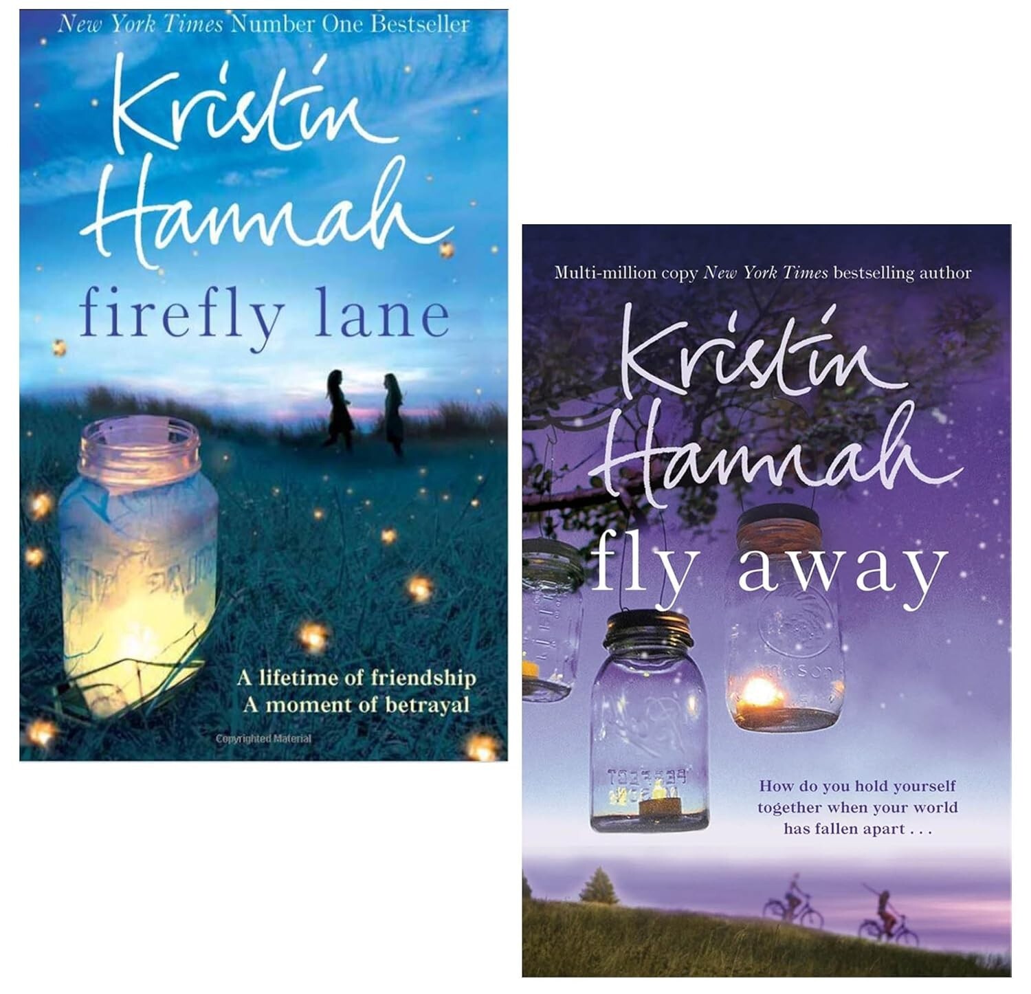 Firefly Lane Series 2 Books Collection by Kristin Hannah Firefly Lane, Fly Away - Image 3