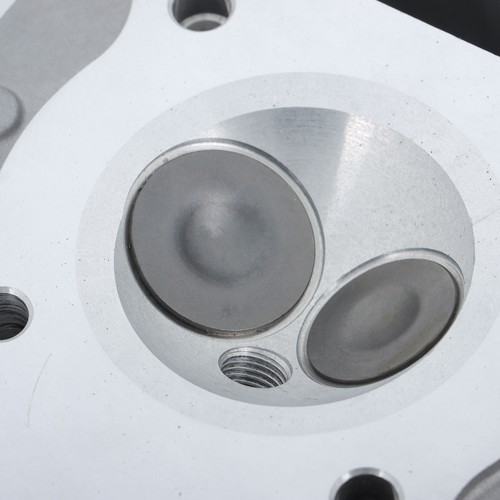 New Cylinder Head Suit 2003-2014 Fit For Honda TRX250EX 12200-HM8-305 - Foto 10 di 10
