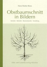 Obstbaumschnitt in Bildern Kernobst - Steinobst - Beerensträucher - Veredelung