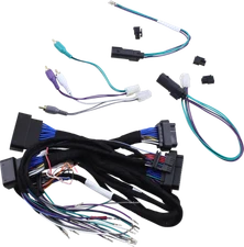 SADDLE TRAMP Amplifier Harness BC-9716