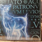 Foto 8 di 9