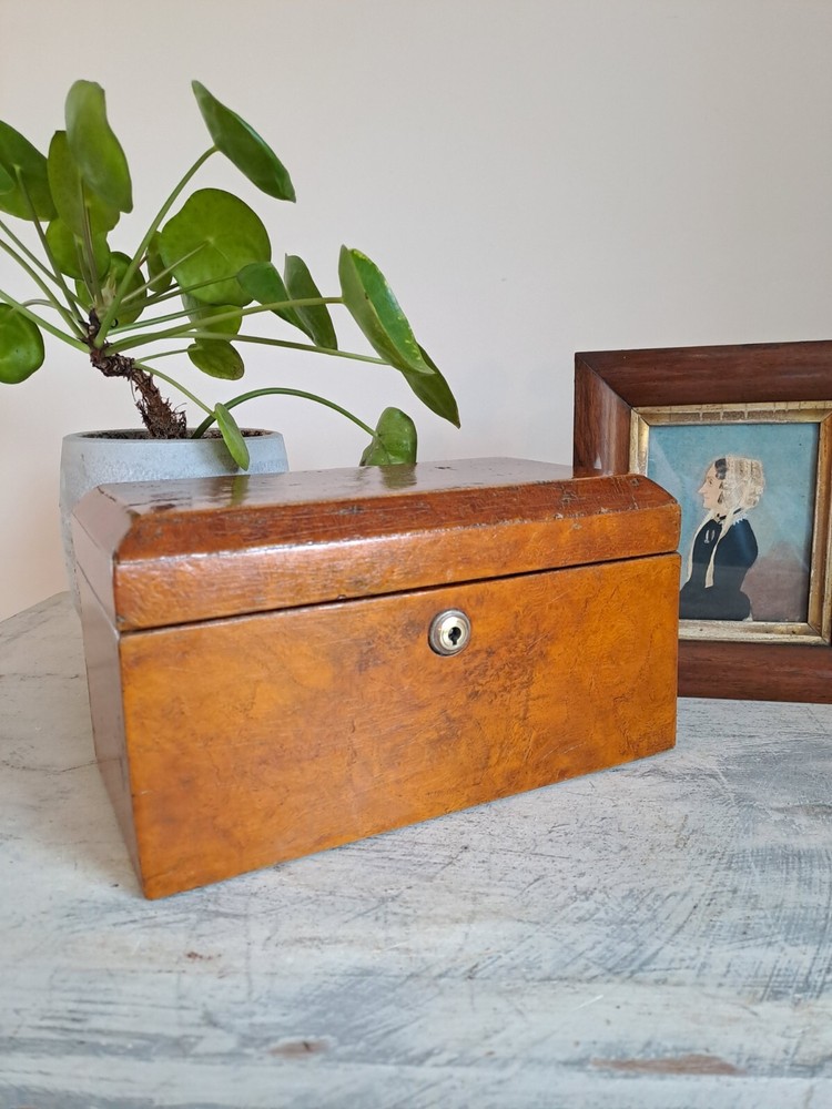 Antique Victorian Tea Caddy Treen Box Furniture Collectible