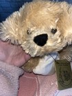Picture 9 of 9