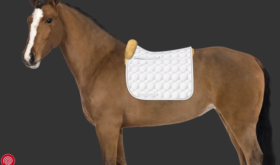 Mattes Schabracke Dressur DR Gr. L Steppstoff Glanz weiß - Bild 3 von 3