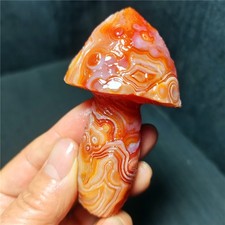 TOP 102.8G Natural Gobi agate eyes Agate/Mushroom Madagascar WYY3932