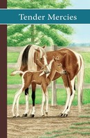Vicki Watson | Sonrise Stable | Taschenbuch | Englisch (2012) | Tender Mercies