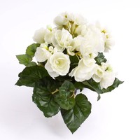 Artplants KüNstliche Mini Begonie Ivana, Creme, 20Cm, Ø 20Cm