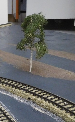 A Birch 12 cm High in Premium Quality, Each Tree is a Unique Piece, Handmade - Picture 7 of 11