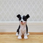 Dollhouse Puppy Dog Border Collie Sitting 1:12 Scale Miniature Pet Cast Resin