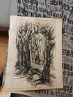 Foto 4 di 15